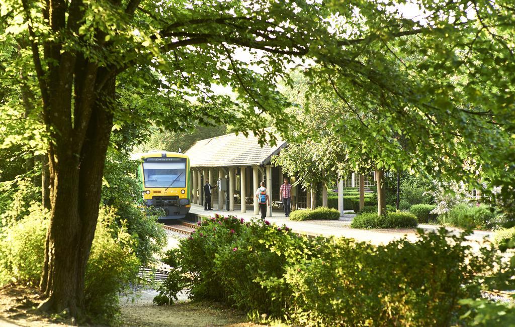 Komfort-&Wellnesspension Rehwinkel Bodenmais Exterior foto